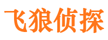 广安市调查公司